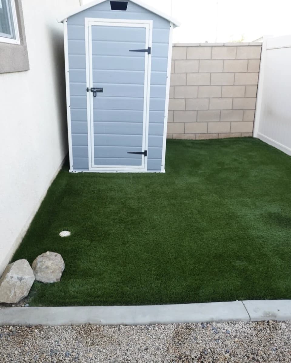 The same turf after cleaning
