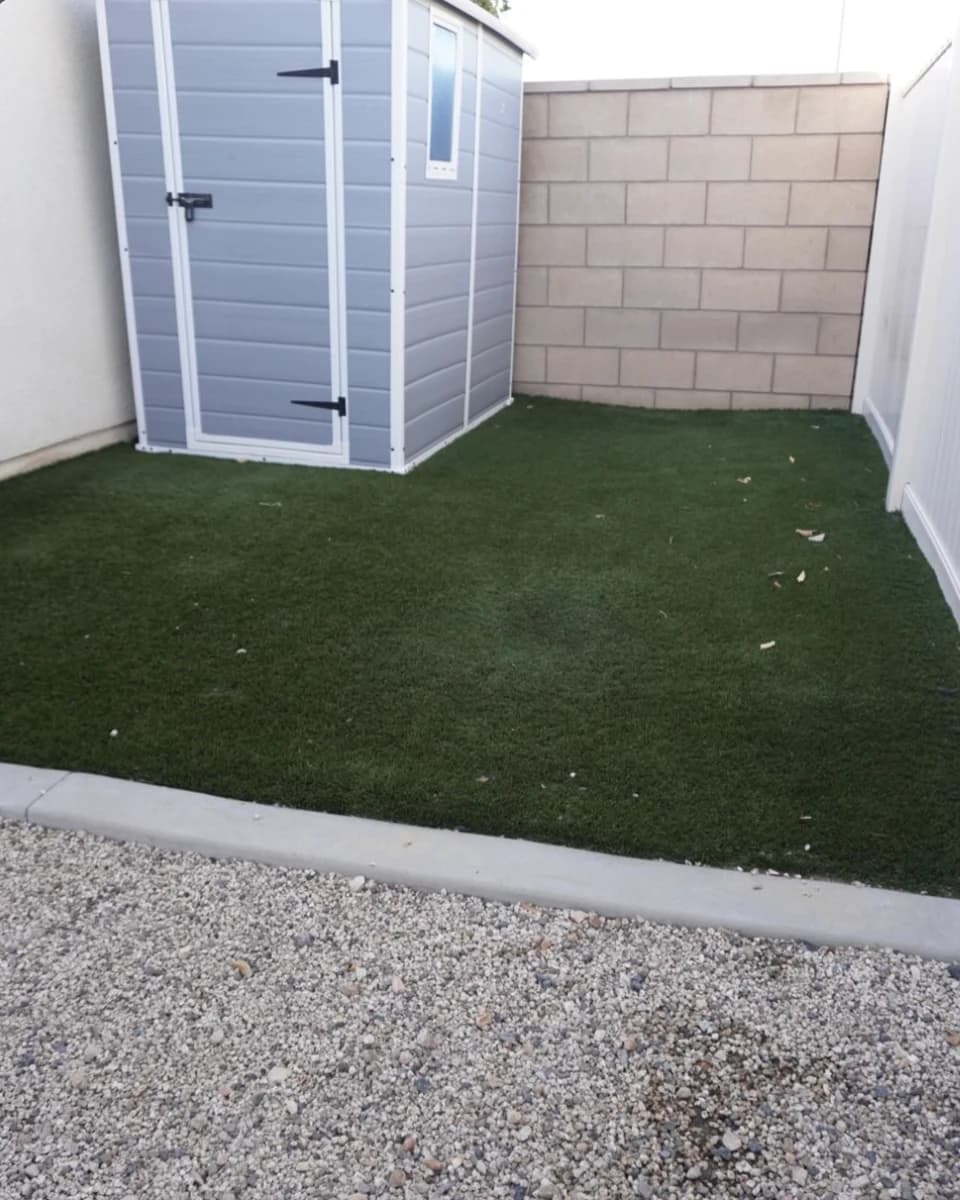 Turf before cleaning