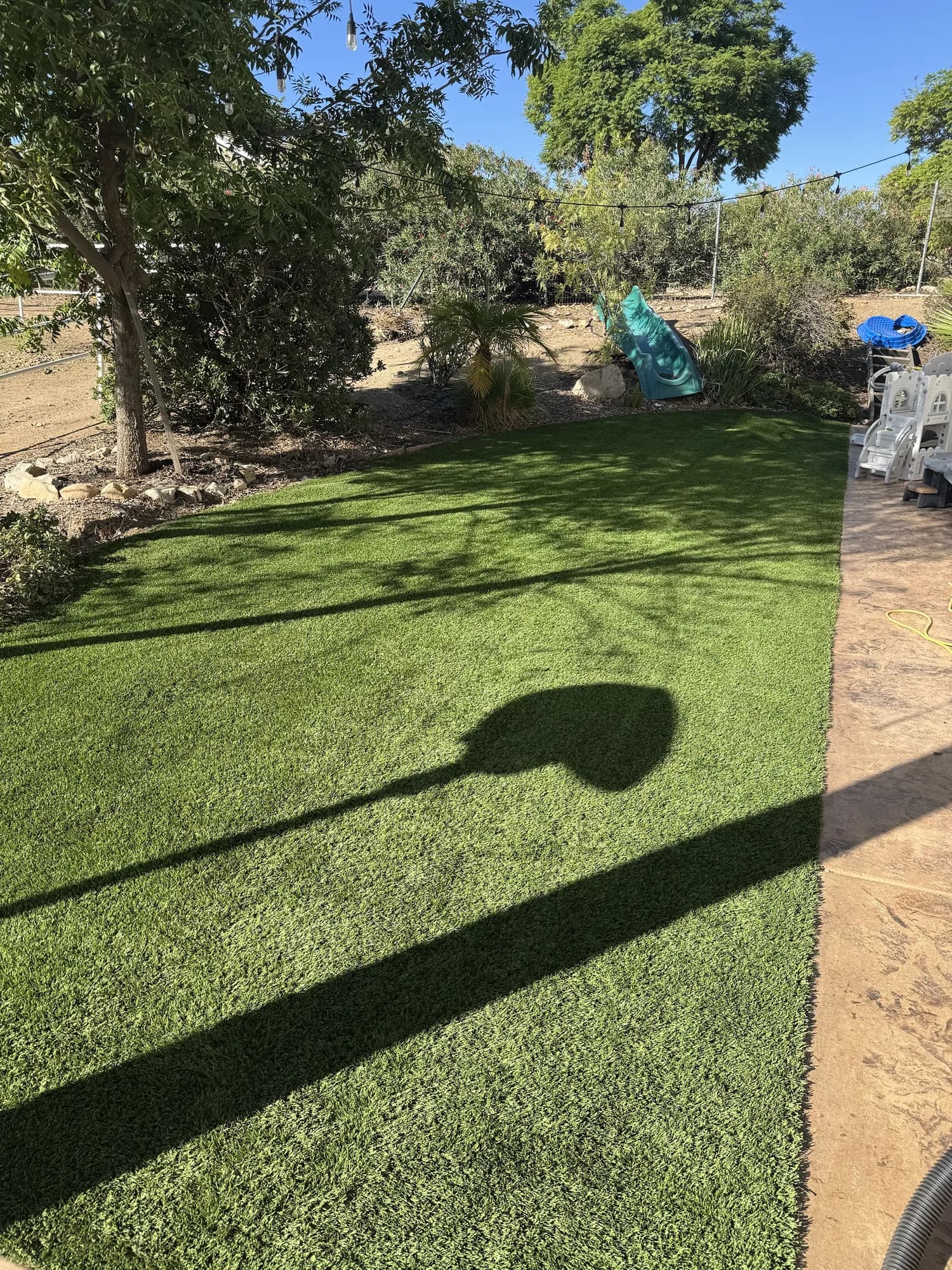 Bright green turf in a family backyard, with a kids' slide and trees along the edge