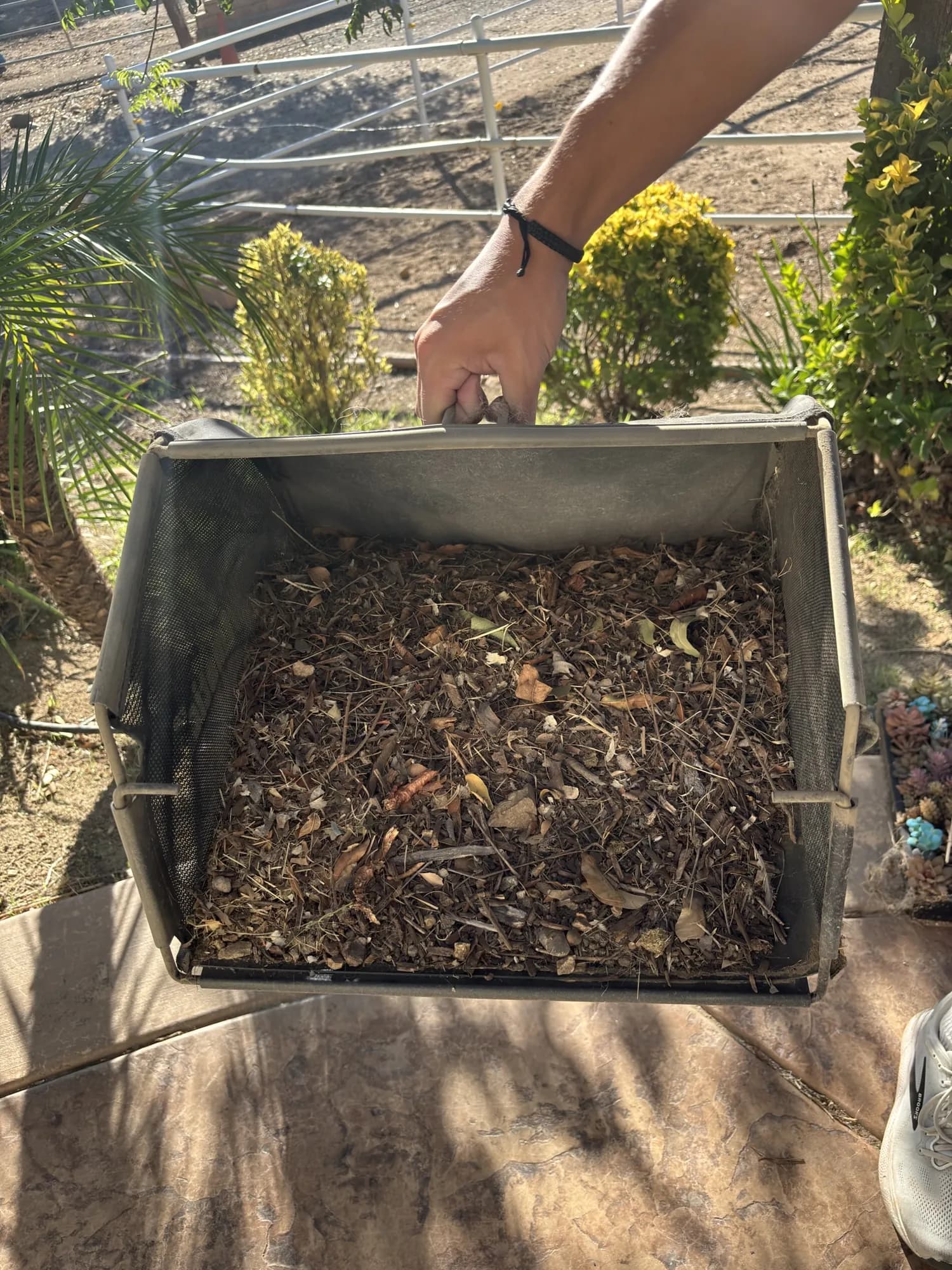 Collector bin full of leaves, sticks and grit pulled out of a customer's turf
